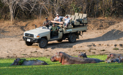 Luangwa Discovery Safari