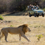 South Luangwa National Park