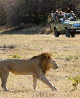 South Luangwa National Park