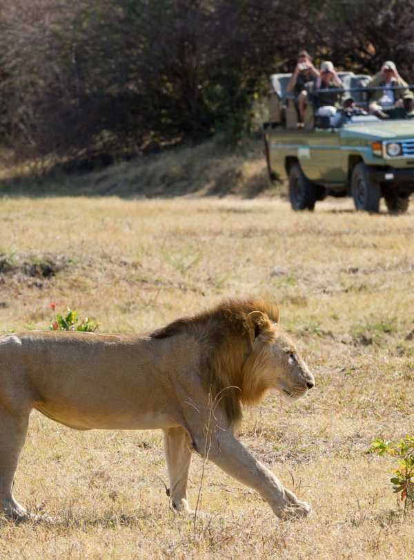 South Luangwa National Park